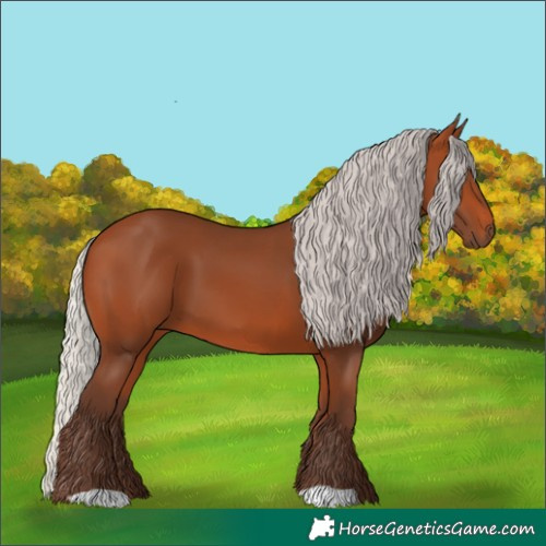 Horse Color:Silver Bay