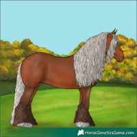 Horse Color:Silver Bay 