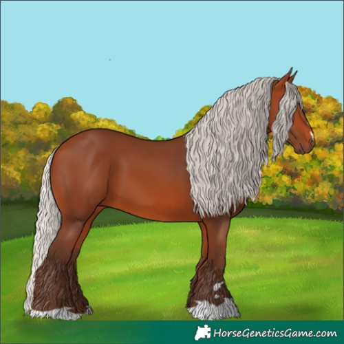 Horse Color:Silver Bay