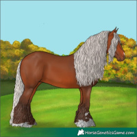 Horse Color:Silver Bay