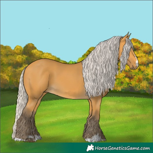 Horse Color:Silver Buckskin 