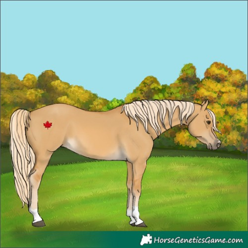 Horse Color:Palomino Dun 