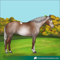 Horse Color:Gray Silver Black Pearl Tobiano 