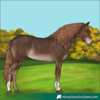 Horse Color:Liver Chestnut Tobiano Rabicano 