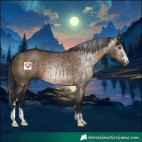 Horse Color:Brown Dun  and Gray Brown Dun 