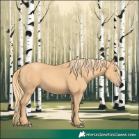 Horse Color:Gold Champagne 