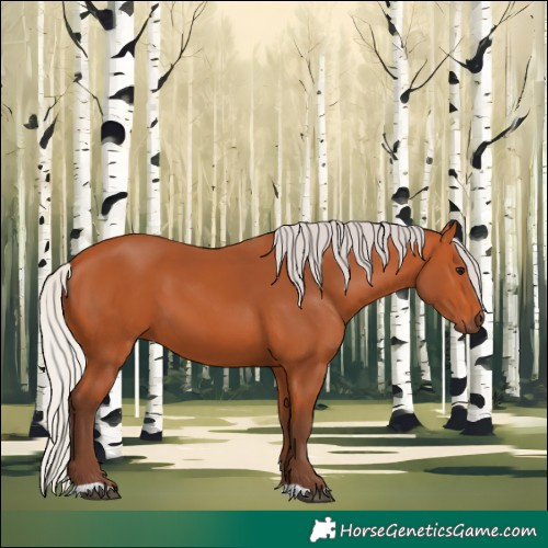 Horse Color:Silver Bay 
