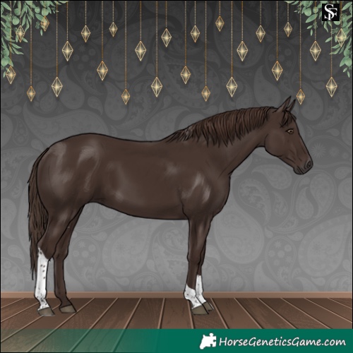 Horse Color:Liver Chestnut Tobiano Rabicano 