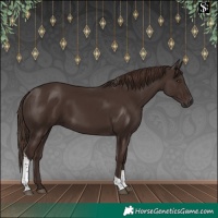Horse Color:Liver Chestnut Tobiano Rabicano 