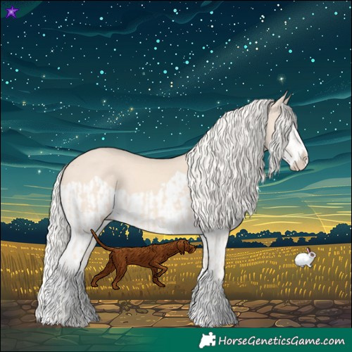 Horse Color:Cremello Splash  and Cremello Splash 