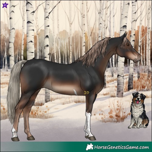 Horse Color:Liver Chestnut Tobiano Rabicano 