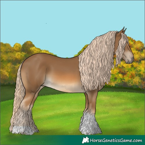 Horse Color:Chocolate Palomino Tobiano Rabicano 