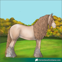 Horse Color:Gold Champagne Pearl Rabicano  and Gold Champagne Pearl Rabicano 