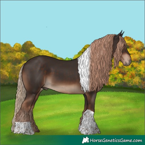 Horse Color:Liver Chestnut Tobiano Rabicano 