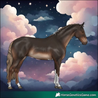 Horse Color:Liver Chestnut Tobiano Rabicano