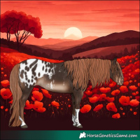 Horse Color:Liver Chestnut Tobiano Appaloosa Rabicano 