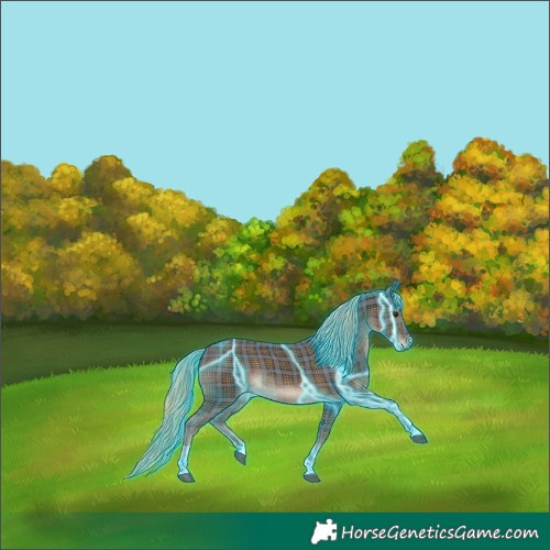 Horse Color:Thunderstruck Plaid  Liver Chestnut Tobiano Rabicano 