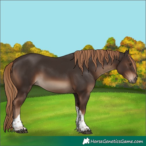 Horse Color:Liver Chestnut Tobiano Rabicano 