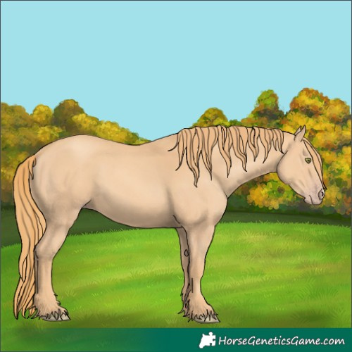Horse Color:Gold Champagne 