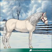 Horse Color:Cremello Rabicano