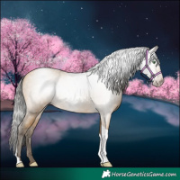 Horse Color:Gray Amber Cream Champagne Tobiano 