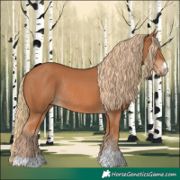 Horse Color:Chestnut Rabicano 