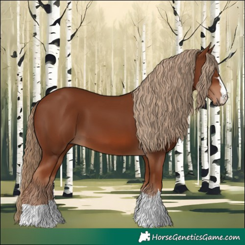 Horse Color:Chestnut 