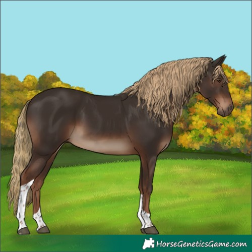 Horse Color:Liver Chestnut Tobiano Rabicano 