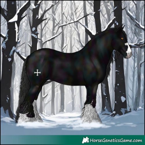 Horse Color:Gray Midnight Black 