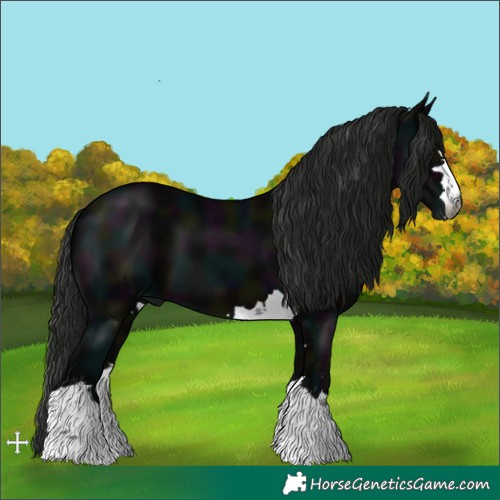 Horse Color:Gray Midnight Black 