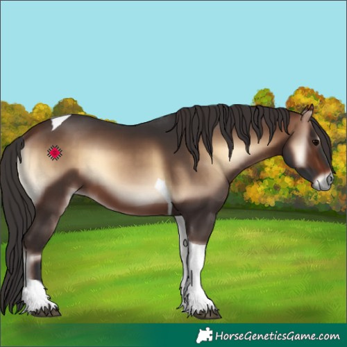 Horse Color:Bay Onyx Tobiano