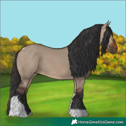 Horse Color:Bay Dun Tobiano 