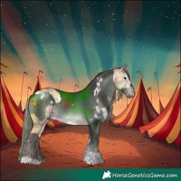 Horse Color:Plaid  White Spotted Chocolate Bay Dun Brindle  and Platinum White Spotted Liver Chestnut Tobiano Rabicano 