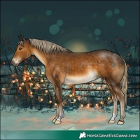 Horse Color:Chocolate Palomino 
