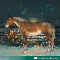 Horse Color:Chocolate Palomino 