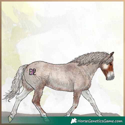 Horse Color:Silver Blue Onyx Roan 