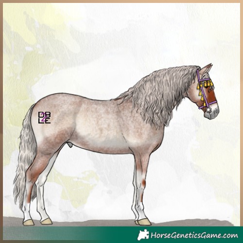 Horse Color:Silver Blue Onyx Roan 