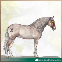 Horse Color:Silver Blue Onyx Roan 