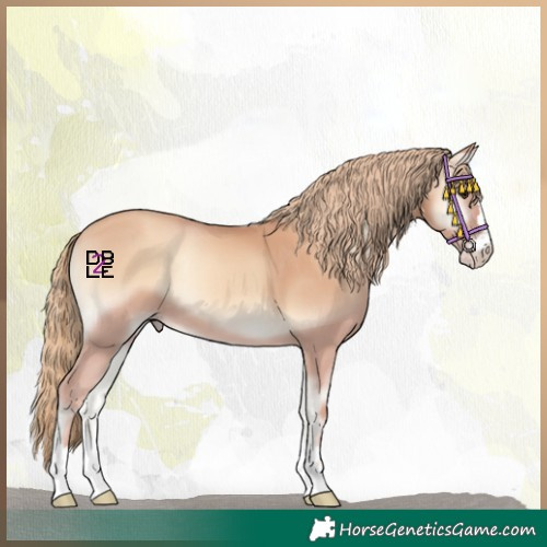 Horse Color:Gold Champagne Onyx 