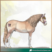 Horse Color:Gold Champagne Onyx