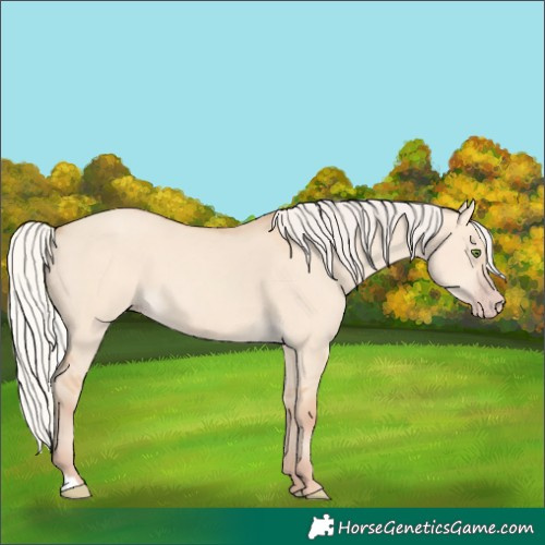 Horse Color:Silver Classic Champagne Dun 