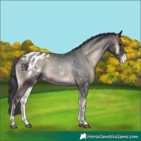 Horse Color:Blue Onyx Varnish 