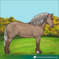 Horse Color:Silver Grullo 