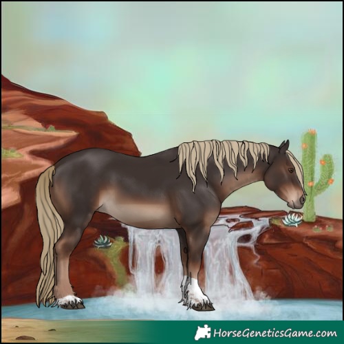 Horse Color:Liver Chestnut Tobiano Rabicano