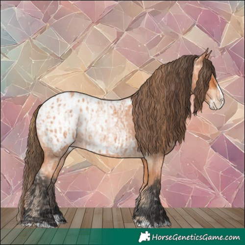 Horse Color:Bay Roan Pearl Splash and Bay Roan Splash Blanket