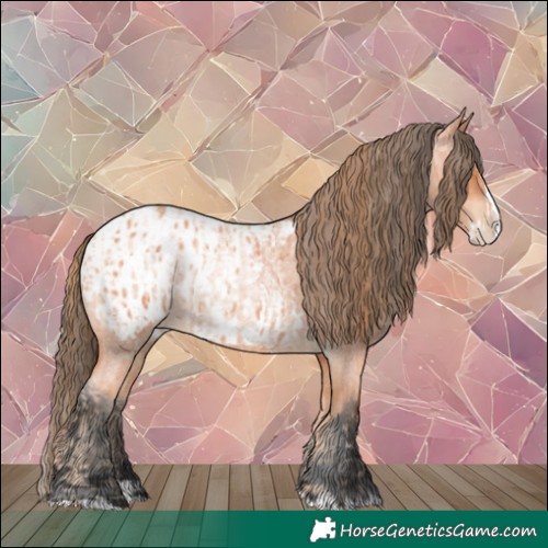 Horse Color:Bay Roan Pearl Splash  and Bay Roan Splash Appaloosa 