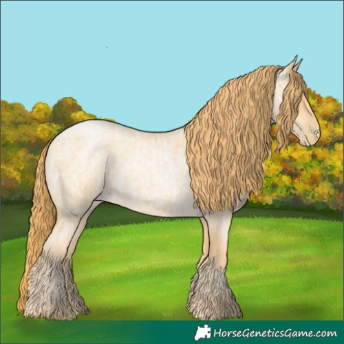 Horse Color:Buckskin Roan Pearl  and Buckskin Roan Pearl 
