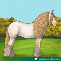 Horse Color:Buckskin Roan Pearl and Buckskin Roan Pearl