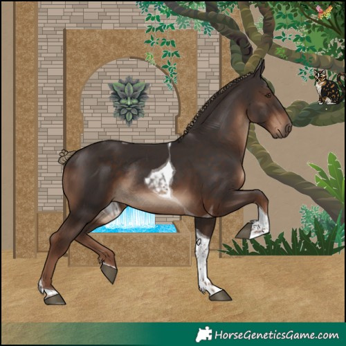 Horse Color:Liver Chestnut Tobiano Rabicano