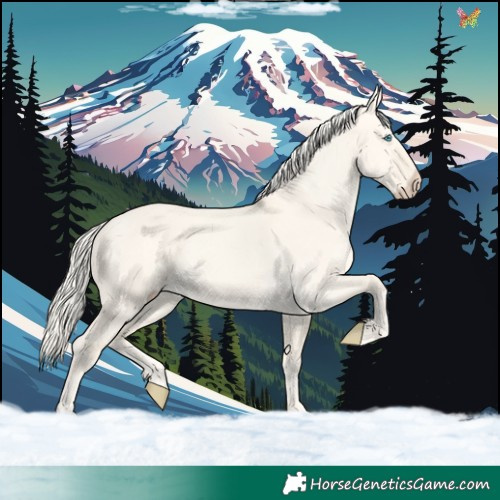 Horse Color:Cremello Dun